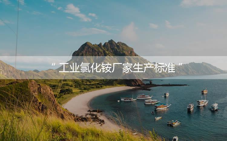 工業(yè)氯化銨廠家生產(chǎn)標(biāo)準，生產(chǎn)過程進行嚴密的監(jiān)控！