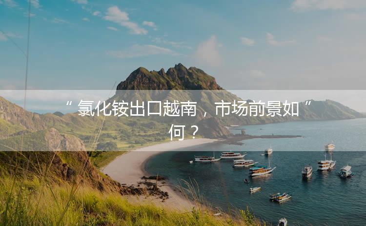 氯化銨出口越南，市場前景如何？